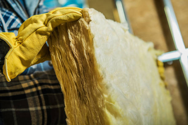 Best Residential Insulation in South Roxana, IL