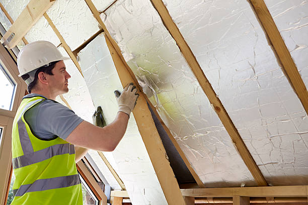 Best Insulation Maintenance and Repair in South Roxana, IL